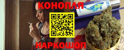 мдпв Бийск