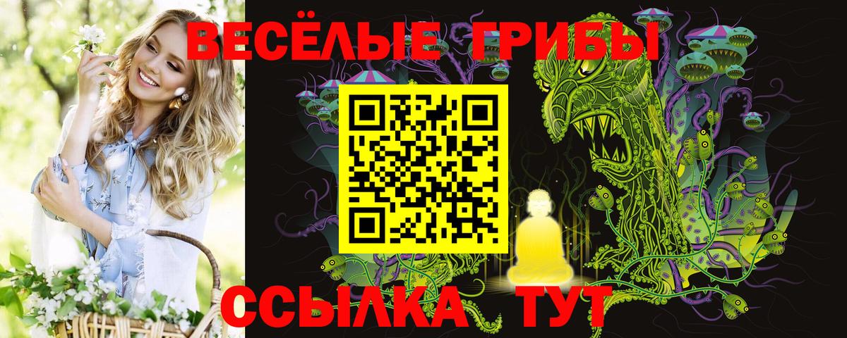 где купить наркоту  Вход с VPN  Галлюциногенные грибы Magic Shrooms  Кемерово  Галлюциногенные грибы Cubensis 